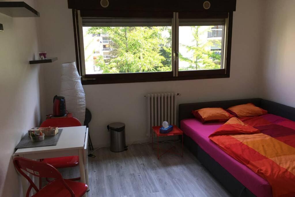 Appartement Studio proche du lac-Triangle d'or à Annecy Extérieur photo